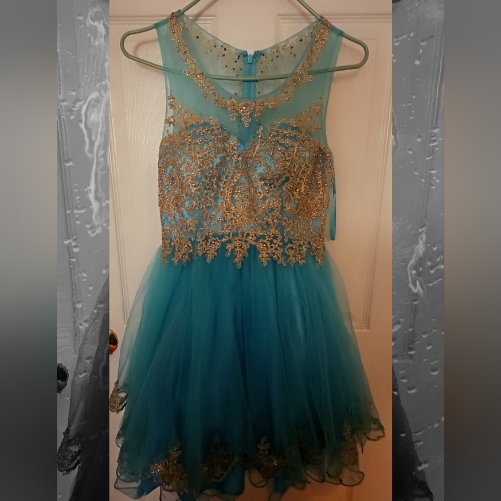 Teal Blue dress with gold embellishments